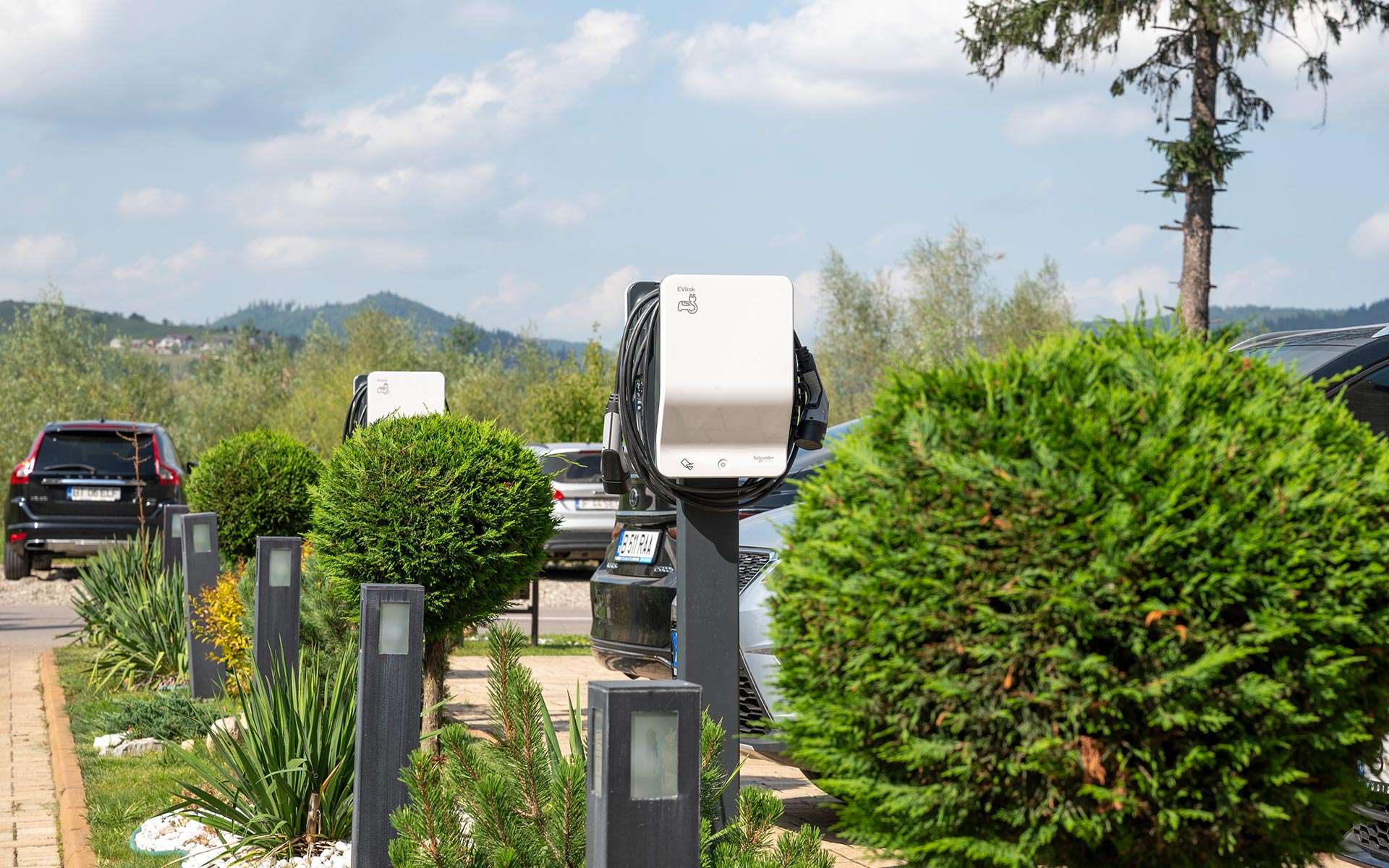 gal-statii-3